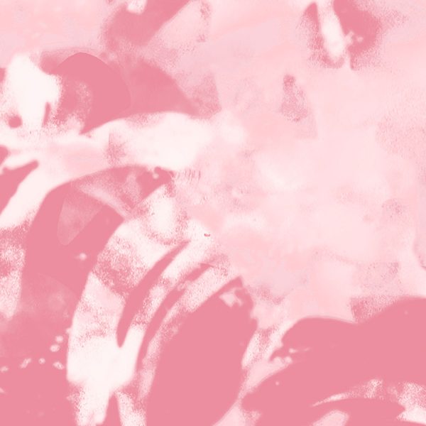 Silvis, pattern design, pink, coral, white, detail 2