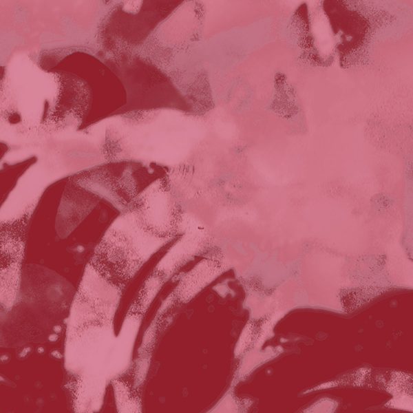Silvis, pattern design, red, burgundy, coral, pink, detail 2