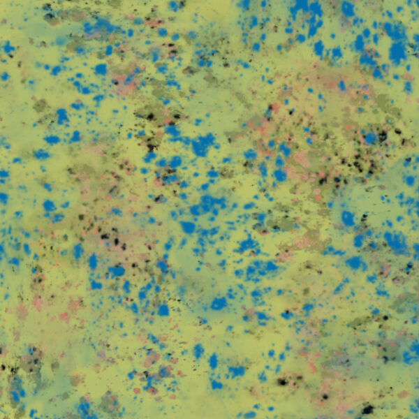 Splash, textile and wallcovering design from the Oh Canada collection.