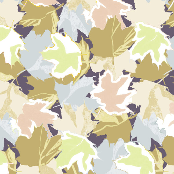 Maple, full scale section.
