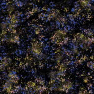 Splash, textile and wallcovering design from the Oh Canada collection.